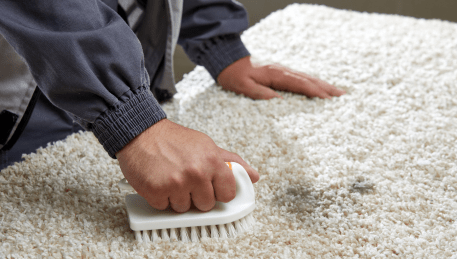 Professional Rug Cleaning Abbotsford